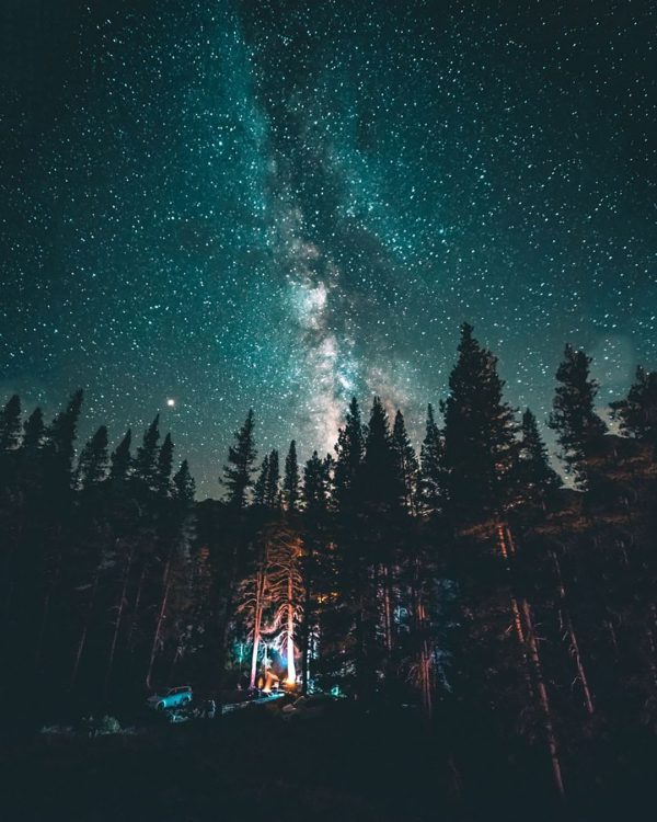 عکس منظره و طبیعت دیدنی زیر آسمان پر ستاره جنگلی