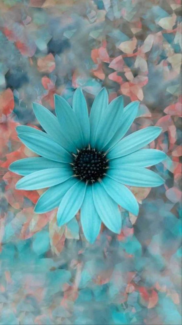 پروفایل طبیعت گل آبی زیبا
