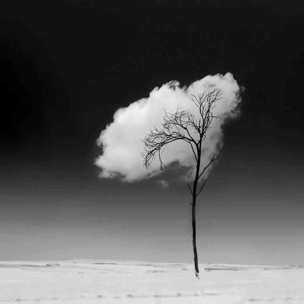 عکس خاص هنری طبیعت ابر و درخت