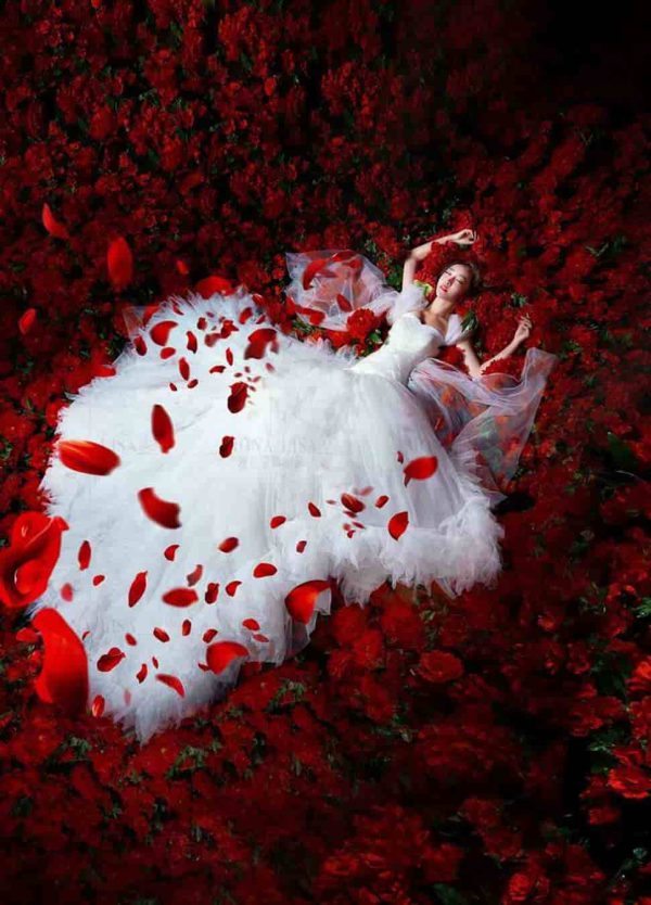عکس دخترونه عروس در بین پرهای قرمز