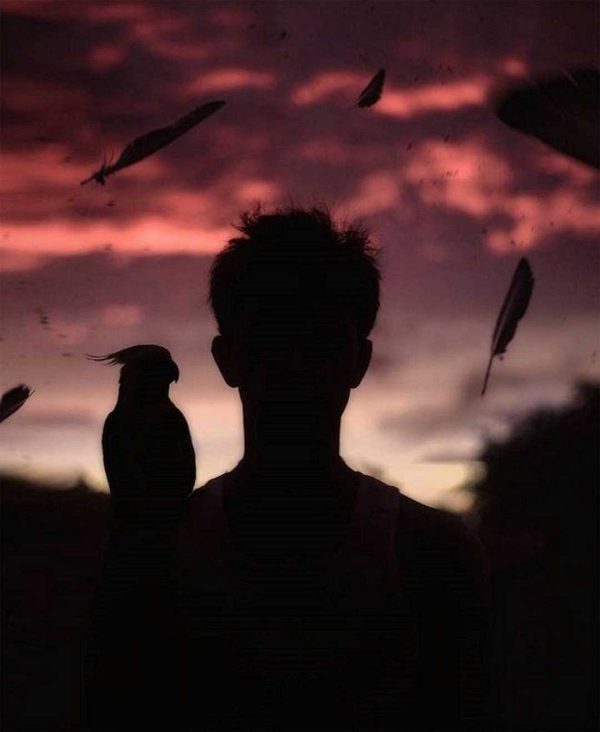 عکس پروفایل واتساپ پسرانه غمگین با پرنده از پشت