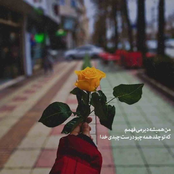 عکس نوشته خدا برای پروفایل واتساپ گل رز زرد