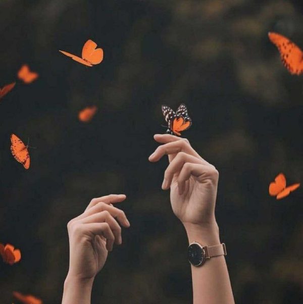 عکس های پروفایل دخترانه اینستاگرام با پروانه های رنگی