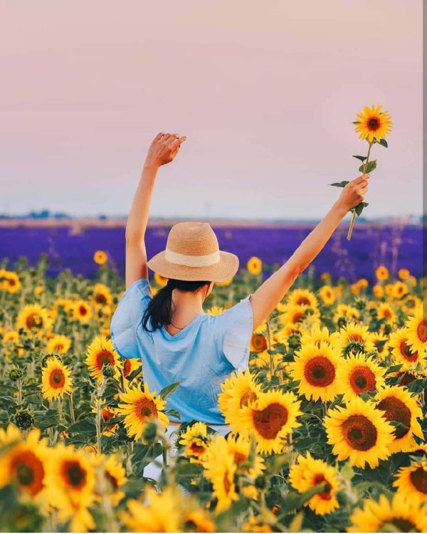 باکلاس عکس دختر با گل برای پروفایل