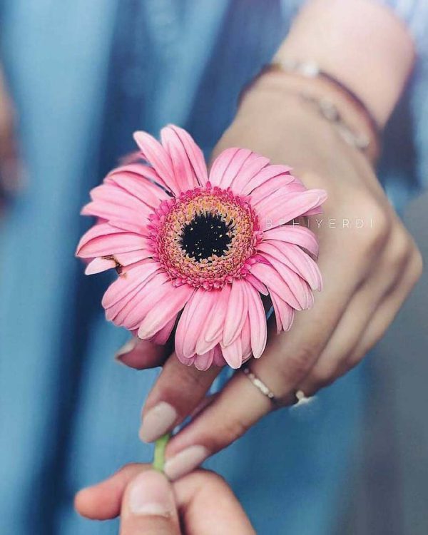 عکس دختر با گل برای پروفایل واتساپ