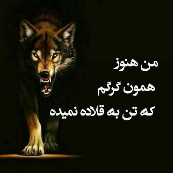 متن لاتی خفن