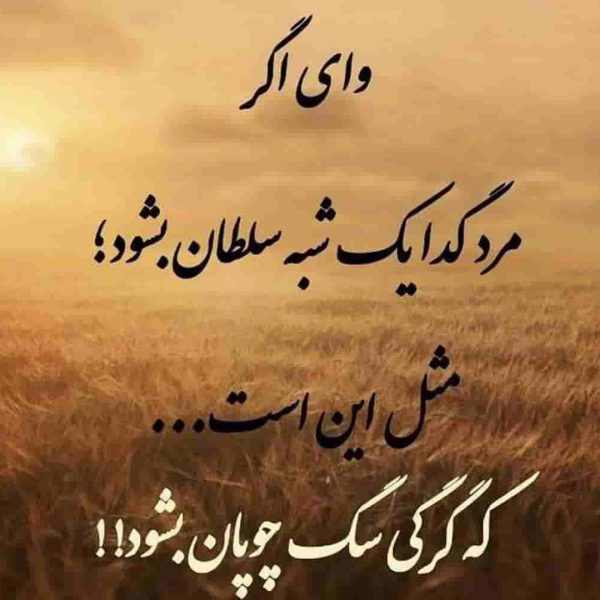  عکس نوشته لاتی با متن